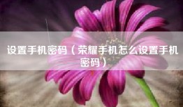 设置手机密码（荣耀手机怎么设置手机密码）