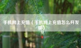 手机网上充值（手机网上充值怎么开发票）