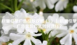 巨量引擎广告投放攻略（5）｜ 巨量引擎广告出价方式如何选择？