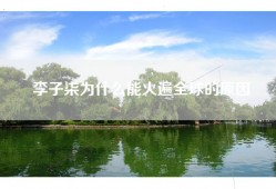李子柒为什么能火遍全球的原因