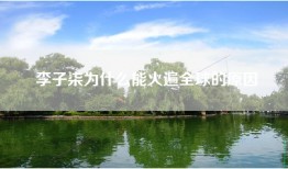李子柒为什么能火遍全球的原因