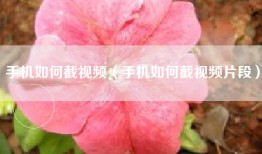 手机如何截视频（手机如何截视频片段）