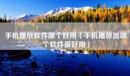 手机播放软件哪个好用(手机播放器哪个软件最好用)