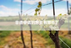 非遗申请的好处有哪些？