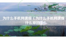 为什么手机网速慢（为什么手机网速慢什么原因）