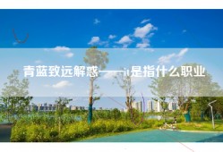 青蓝致远解惑——it是指什么职业