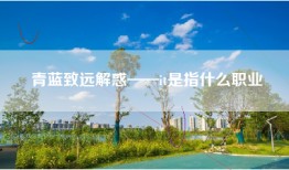 青蓝致远解惑——it是指什么职业