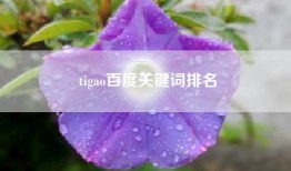 tigao百度关键词排名
