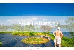 怎样调（怎样调大小）