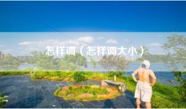 怎样调（怎样调大小）