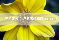 w手机系统（w手机系统错误200010001）
