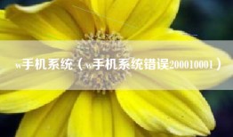 w手机系统（w手机系统错误200010001）
