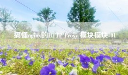 搞懂nginx的HTTP Proxy 模块模块-01