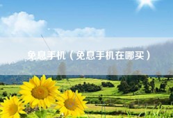 免息手机（免息手机在哪买）