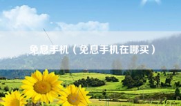 免息手机（免息手机在哪买）