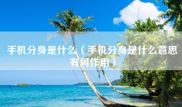 手机分身是什么（手机分身是什么意思有何作用）