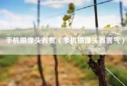 手机摄像头有雾（手机摄像头有雾气）