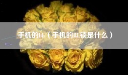 手机的bb（手机的BL锁是什么）