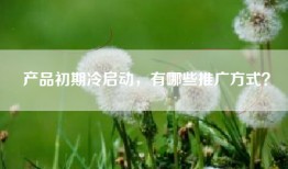 产品初期冷启动，有哪些推广方式？