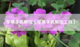 苹果手机解压（苹果手机解压工具）