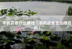 手机店靠什么赚钱（手机店是怎么挣钱的）