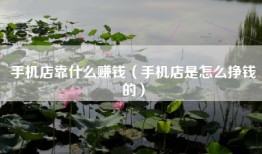 手机店靠什么赚钱（手机店是怎么挣钱的）