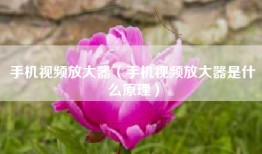 手机视频放大器（手机视频放大器是什么原理）