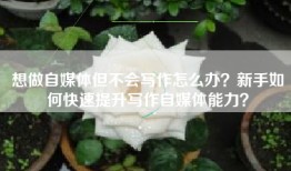 想做自媒体但不会写作怎么办？新手如何快速提升写作自媒体能力？