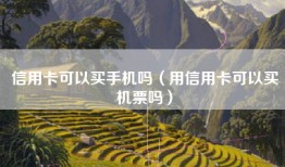 信用卡可以买手机吗（用信用卡可以买机票吗）