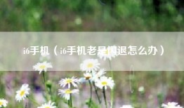 i6手机（i6手机老是闪退怎么办）