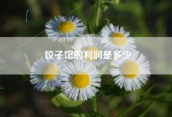 饺子馆的利润是多少