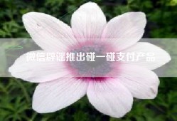 微信辟谣推出碰一碰支付产品
