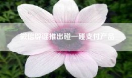 微信辟谣推出碰一碰支付产品