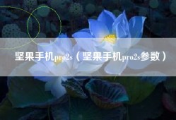 坚果手机pro2s（坚果手机pro2s参数）