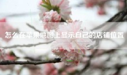 怎么在苹果地图上显示自己的店铺位置