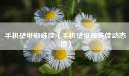 手机壁纸蜘蛛侠（手机壁纸蜘蛛侠动态图）