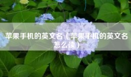 苹果手机的英文名（苹果手机的英文名怎么读）