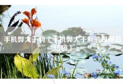 手机弊大于利（手机弊大于利的四辩总结稿）