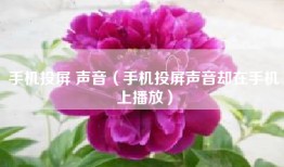 手机投屏 声音（手机投屏声音却在手机上播放）