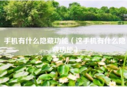 手机有什么隐藏功能（这手机有什么隐藏功能）