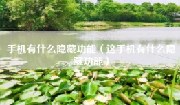 手机有什么隐藏功能（这手机有什么隐藏功能）