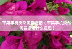 苹果手机突然需要激活（苹果手机突然需要激活什么意思）