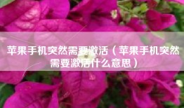 苹果手机突然需要激活（苹果手机突然需要激活什么意思）