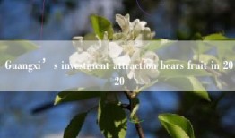 Guangxi’s investment attraction bears fruit in 2020