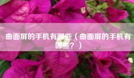 曲面屏的手机有哪些（曲面屏的手机有哪些？）