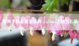 苹果手机主题怎么弄（iphone主题怎么搞）