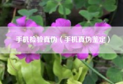 手机检验真伪（手机真伪鉴定）