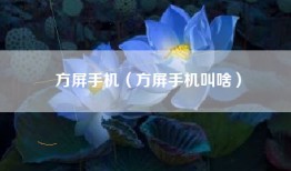 方屏手机（方屏手机叫啥）