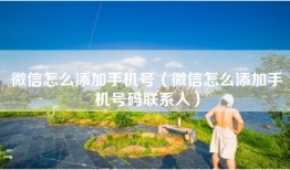 微信怎么添加手机号（微信怎么添加手机号码联系人）