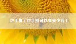 烂手机（烂手机可以卖多少钱）